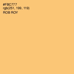 #FBC777 - Rob Roy Color Image